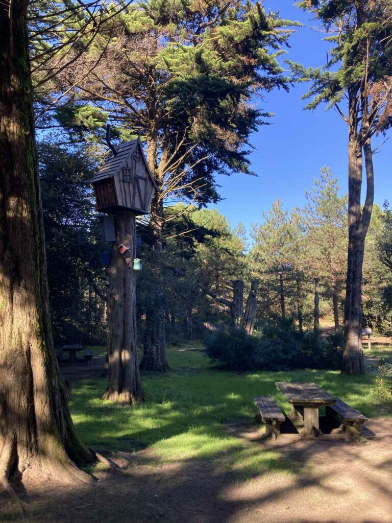 Vakantiehuis Sil Kust Frankrijk Img 8355